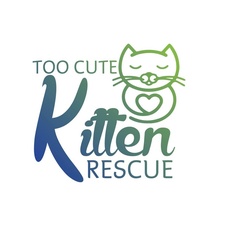 Too Cute Kitten Rescue | Community Organizations / Non Profits
